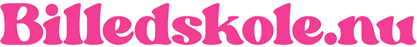 Billedskole.nu logo